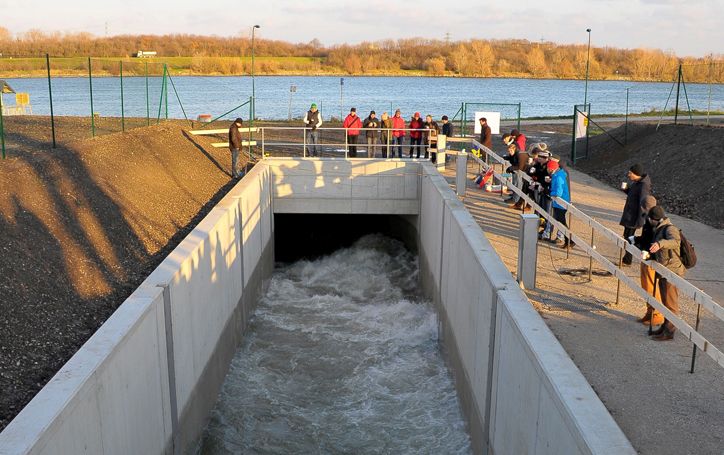 Wasser-Marsch ZG